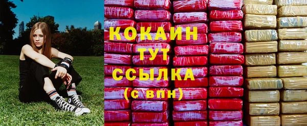 гидра Медвежьегорск