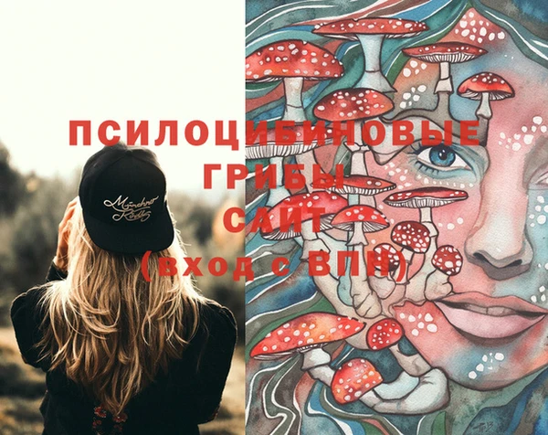 тгк Магадан