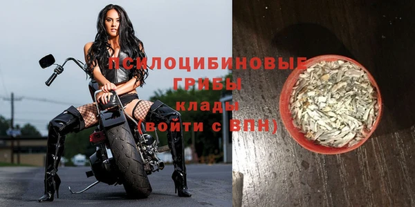 mdpv Майский